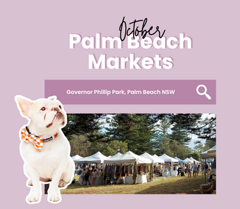 Sunday 22nd Oct - Palm Beach Market