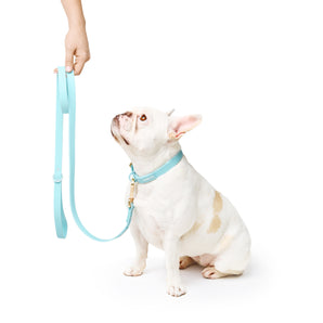 Tiffany Blue Waterproof Leash