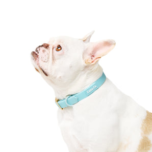 Tiffany Blue Waterproof Collar